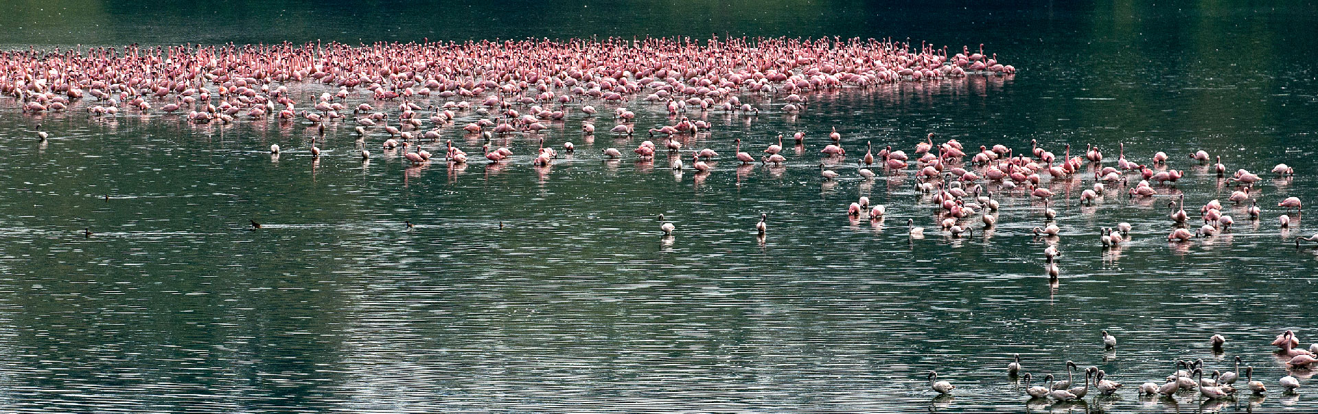 Safari to Murchison Falls and Kidepo Valley National Park Tour 